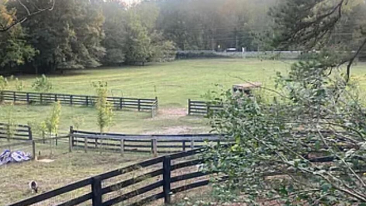 Photo of Outdoor in Milton