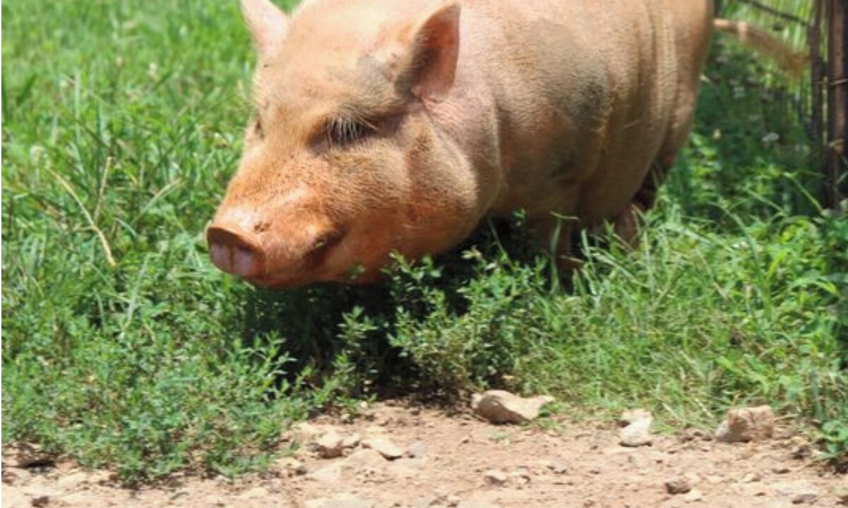 Photo of Others in Milton