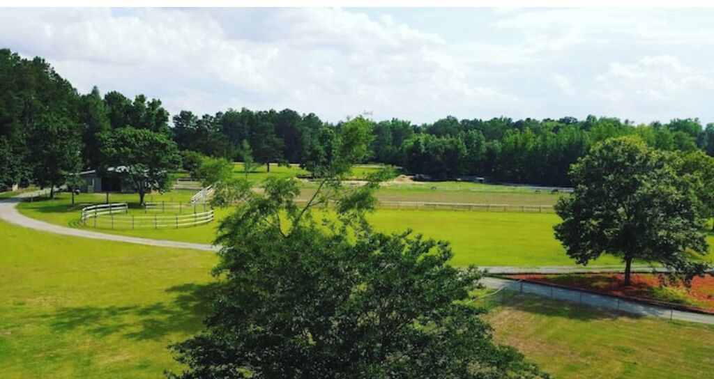Photo of Others in Williamsburg County