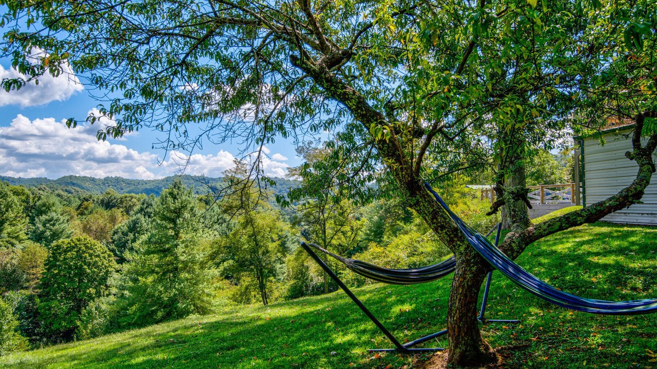 Photo of Outdoor in Vilas