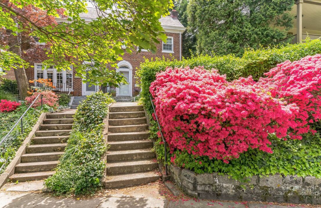 Photo of Outdoor in Cleveland Park