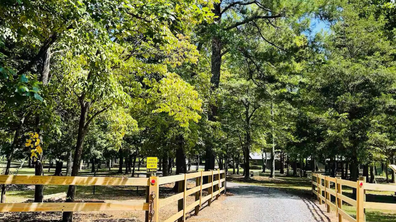 Photo of Others in Spring Garden