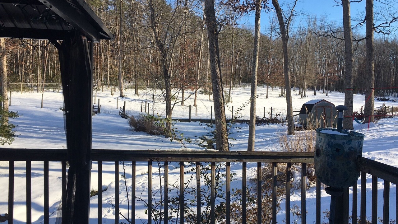 Photo of Outdoor in Locust Grove