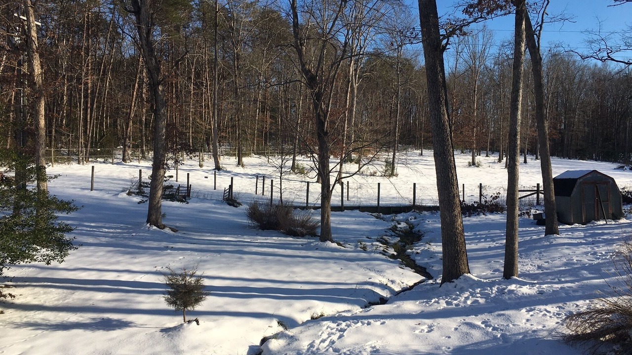 Photo of Others in Locust Grove