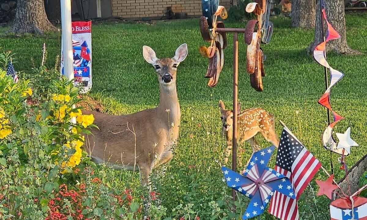 Photo of Others in Belton