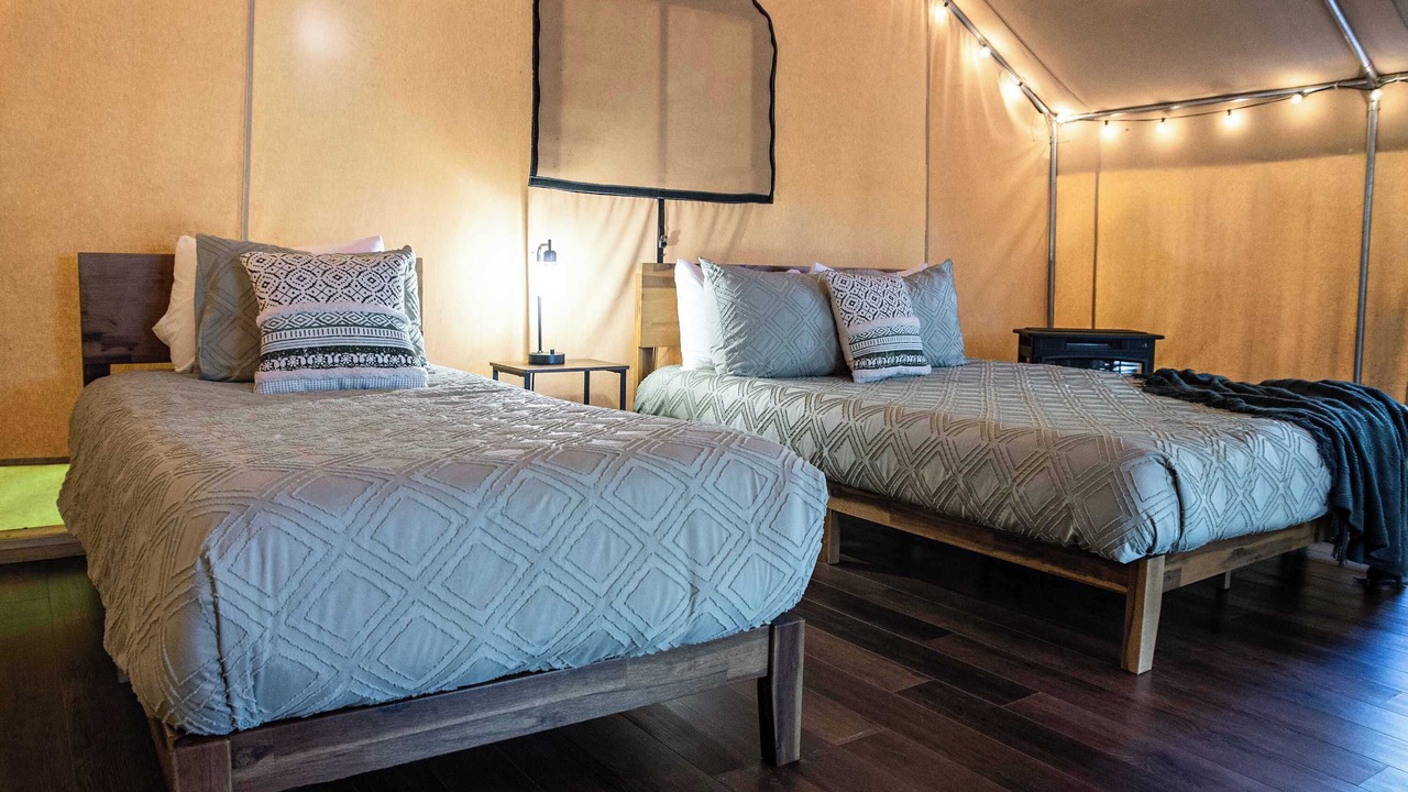 Photo of Bedroom in Primrose