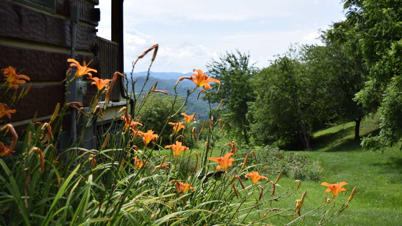 Photo of Others in Boone