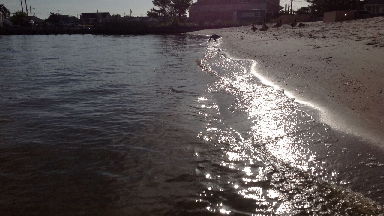 Photo of Others in Dover Beaches North