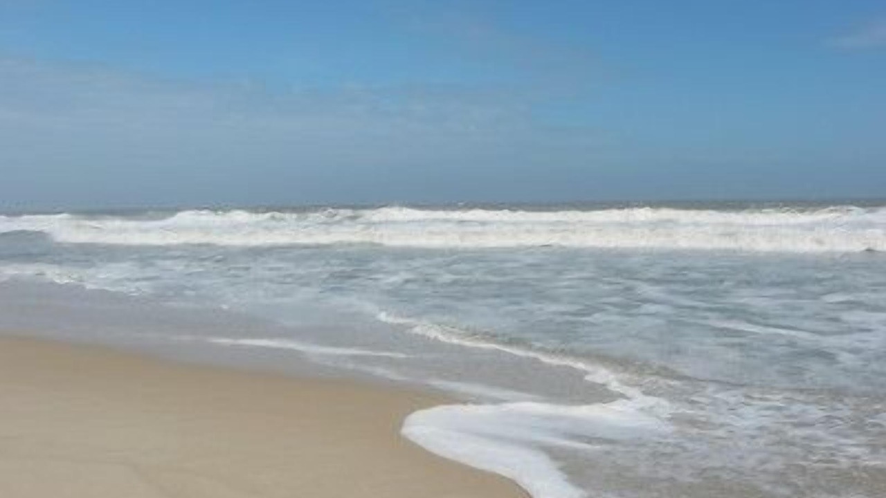 Photo of Others in Dover Beaches North