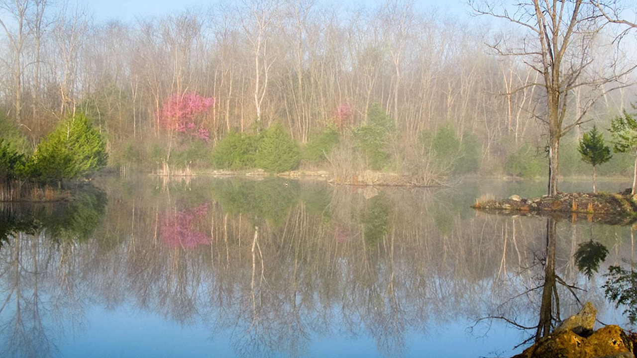Photo of Others in Marceline