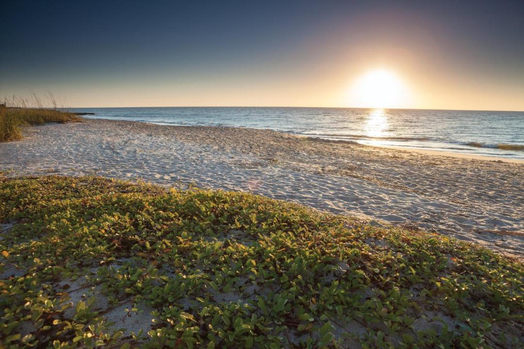 Photo of Others in Ocean Ridge