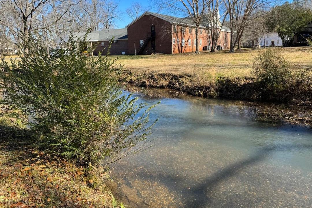 Photo of Others in Cave Spring