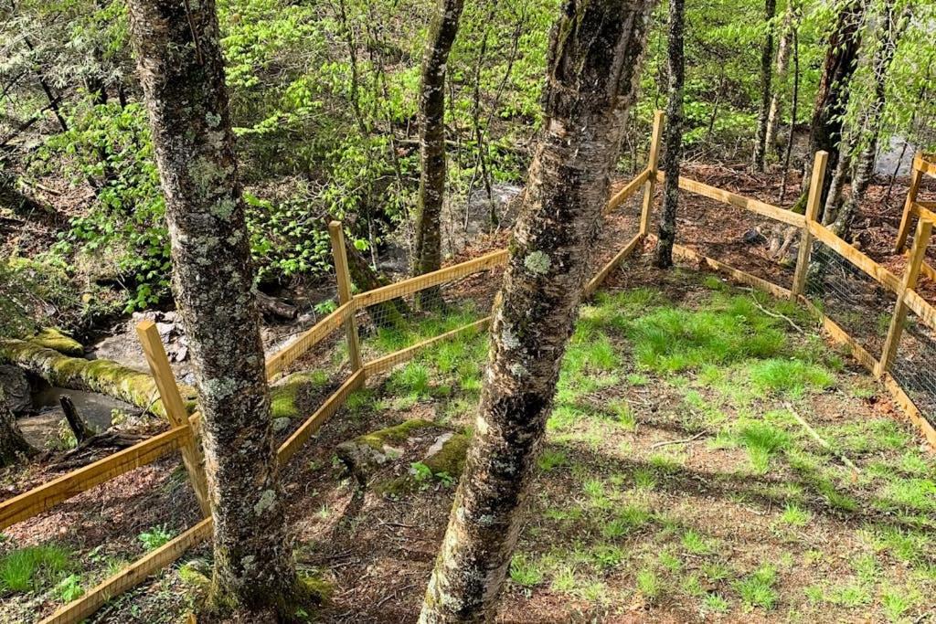 Photo of Others in Beech Mountain