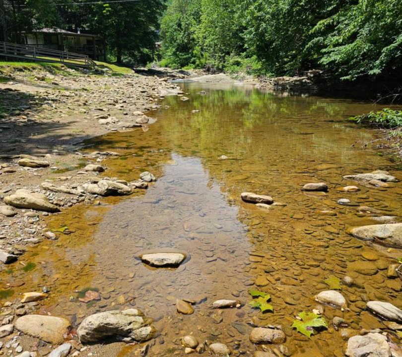Photo of Others in Mill Ridge