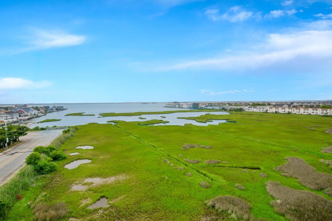 Photo of Others in North Ocean City