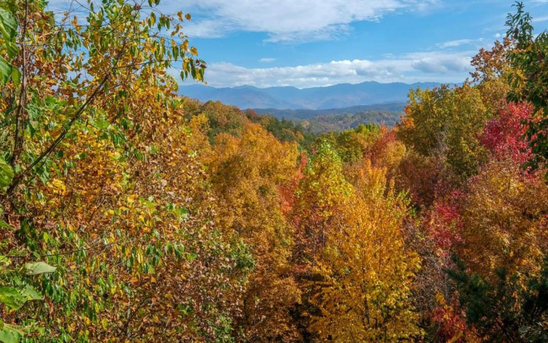 Photo of Others in Sevierville
