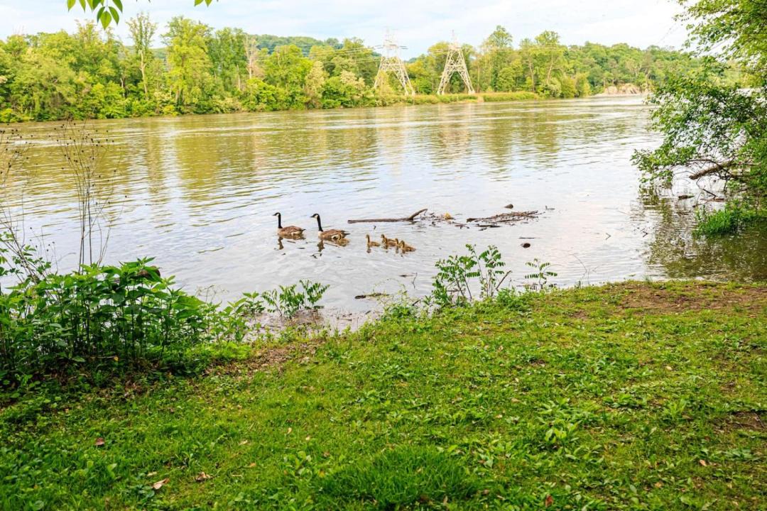 Photo of Others in Airville