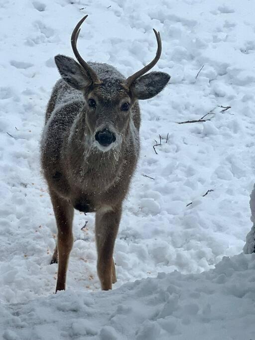 Photo of Others in Banner Elk