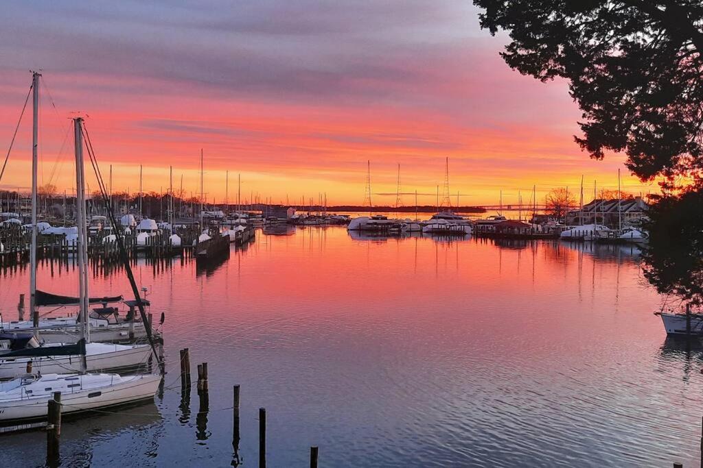 Photo of Others in Eastport