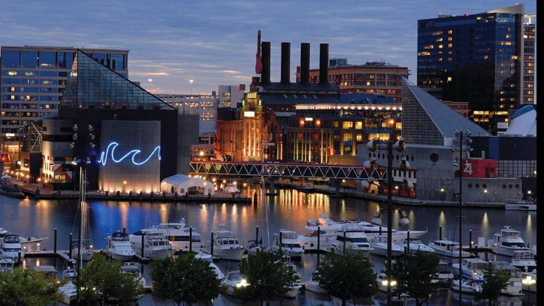 Photo of Others in Harbor East