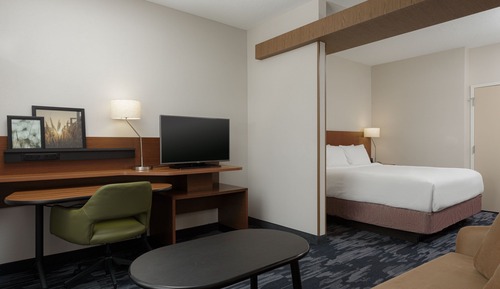 Suite, 1 King Bed with Sofa bed, Roll-in Shower