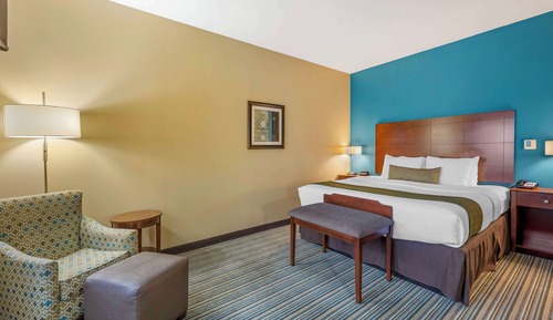 Standard Room, 1 King Bed, Accessible, Non Smoking