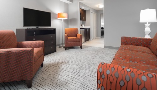 Suite, 1 King Bed with Sofa bed