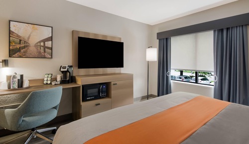 1 King Bed, Accessible, Non Smoking (Accessible Tub)