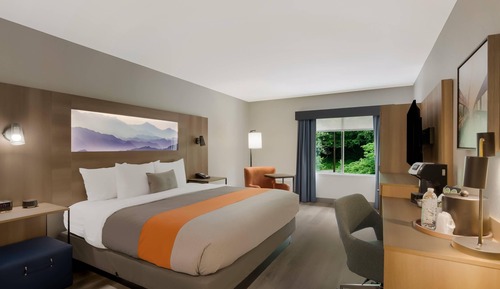 1 King Bed, Non Smoking