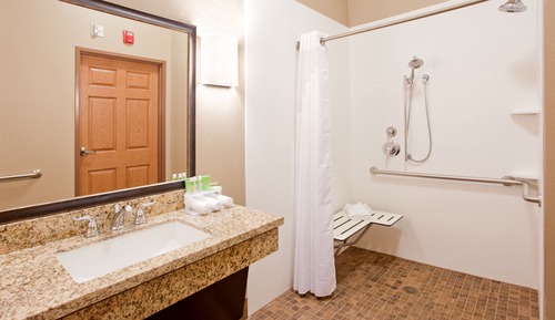 Room, 1 King Bed, Accessible (Communication, Roll-In Shower)