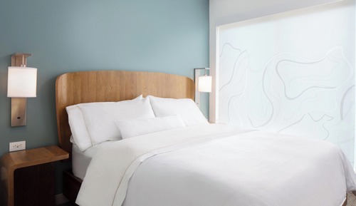 Room, 1 King Bed