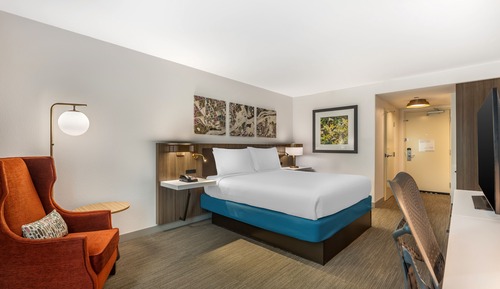 Room, 1 King Bed, Accessible, Bathtub (Mobility & Hearing)