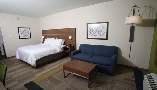 Suite, 1 King Bed with Sofa bed