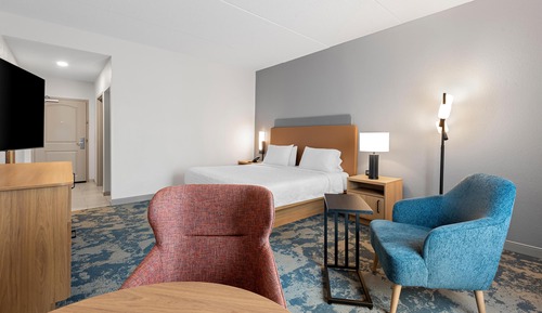 Room, 1 King Bed, Non Smoking