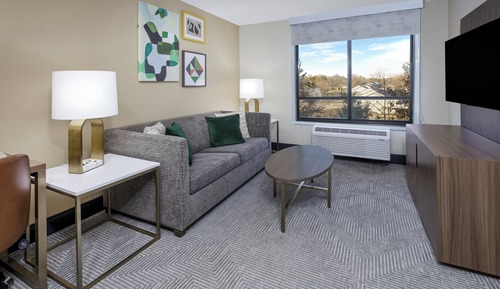 Suite, 1 King Bed with Sofa bed (Additional Living Area)