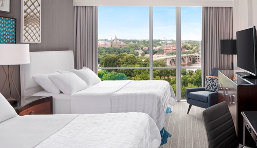 Suite, 1 King Bed with Sofa bed