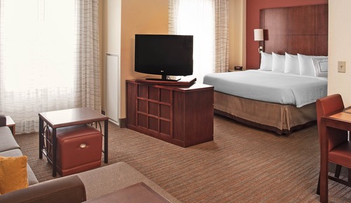 Studio, 1 King Bed with Sofa bed