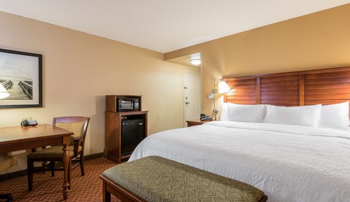 Suite, 1 King Bed, Accessible, Bathtub (Mobility & Hearing)