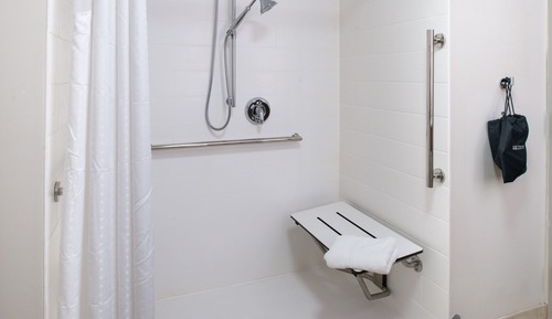 Suite, 1 King Bed, Accessible (Mobility, Roll-In Shower)
