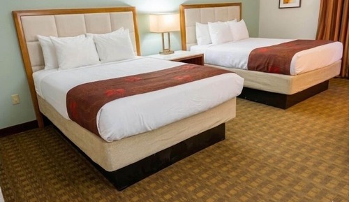 Comfort Double Room, 1 King Bed