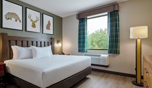 Suite, Accessible, Bathtub (Grizzly Bear)
