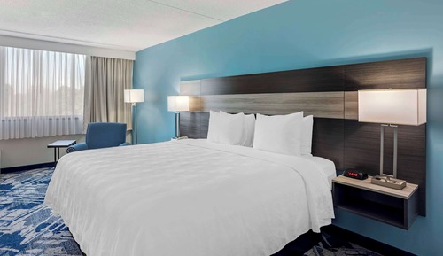 Standard Room, 1 King Bed, Refrigerator & Microwave