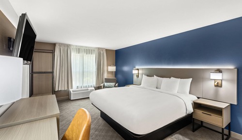 Room, 1 King Bed, Accessible, Non Smoking (Roll-in Shower)