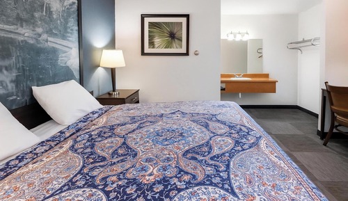 Room, 1 Double Bed