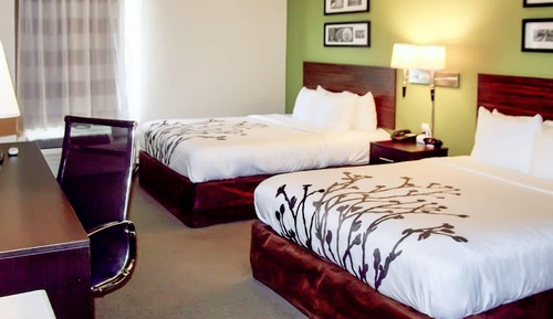 Room, 2 Queen Beds, Accessible, Non Smoking