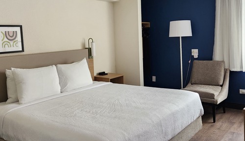 Room, 1 King Bed, Roll-in Shower