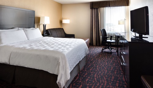 Standard Room, 1 King Bed with Sofa bed