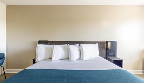 Standard Room, 1 King Bed, Non Smoking, Refrigerator & Microwave
