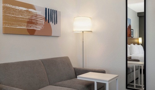 Room, 1 King Bed with Sofa bed