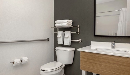 Room, 1 King Bed, Accessible, Bathtub (Mobility)
